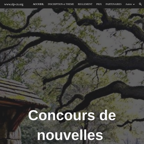 Capture d'écran du site de l'annonce
