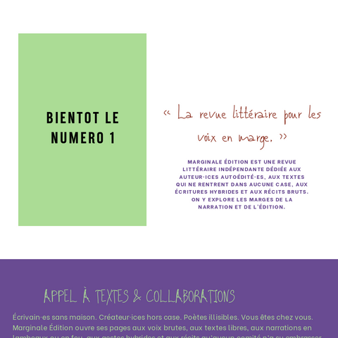 Capture d'écran du site de l'annonce