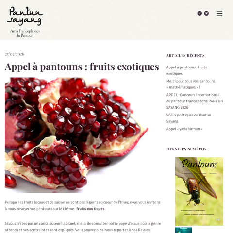 Capture d'écran du site de l'annonce