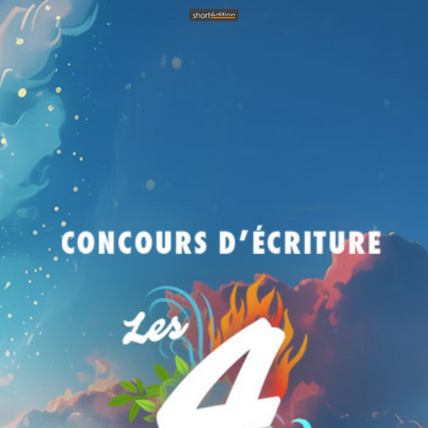 Capture d'écran du site de l'annonce