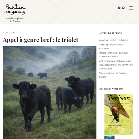 Capture d'écran du site de l'annonce