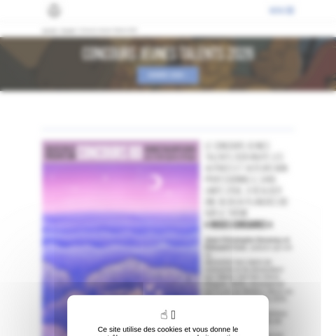 Capture d'écran du site de l'annonce