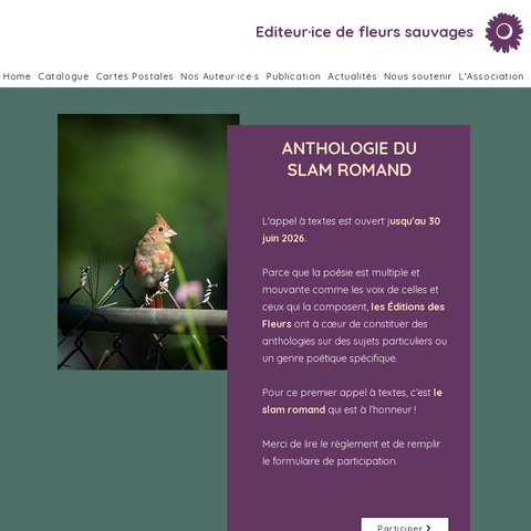 Capture d'écran du site de l'annonce